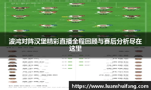 波鸿对阵汉堡精彩直播全程回顾与赛后分析尽在这里
