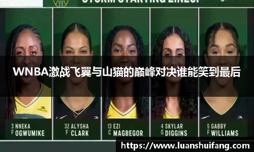 WNBA激战飞翼与山猫的巅峰对决谁能笑到最后
